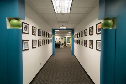 ZA1 Lotame Interior Hallway (5)