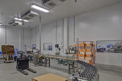 EC5 Saval Foods Interior (1)