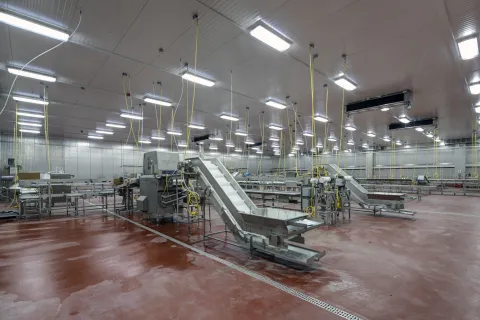 MCS Holly Poultry Interior (11)