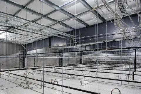 MCS Holly Poultry Interior (28)