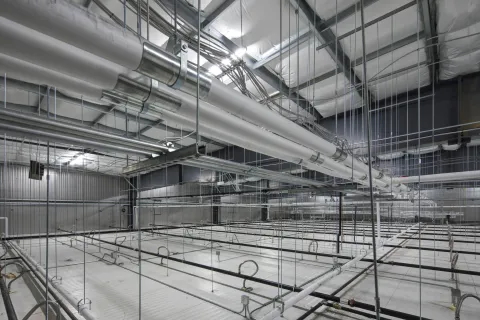 MCS Holly Poultry Interior (31)