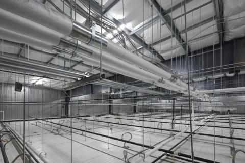 MCS Holly Poultry Interior (31)