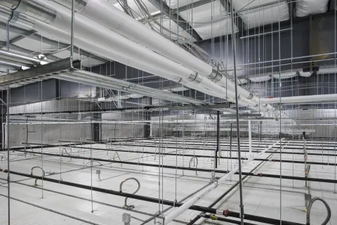 MCS Holly Poultry Interior (30)