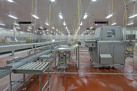 MCS Holly Poultry Interior (12)
