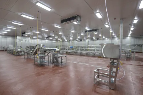 MCS Holly Poultry Interior (16)