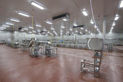 MCS Holly Poultry Interior (16)