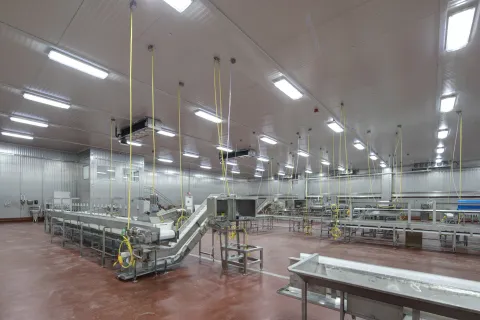 MCS Holly Poultry Interior (17)