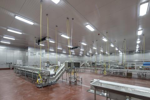 MCS Holly Poultry Interior (17)