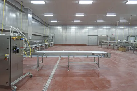 MCS Holly Poultry Interior (21)