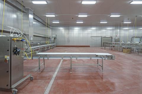 MCS Holly Poultry Interior (21)