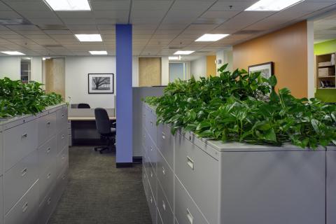 BM2 Invensys Interior (3)