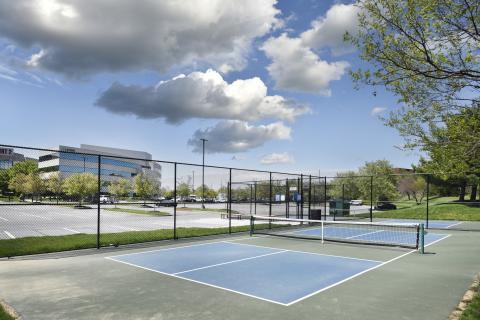 CCP Columbia Corporate Park Pickleball Court (9)