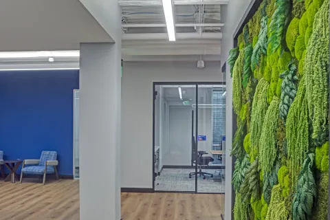 SC&H Office Interior
