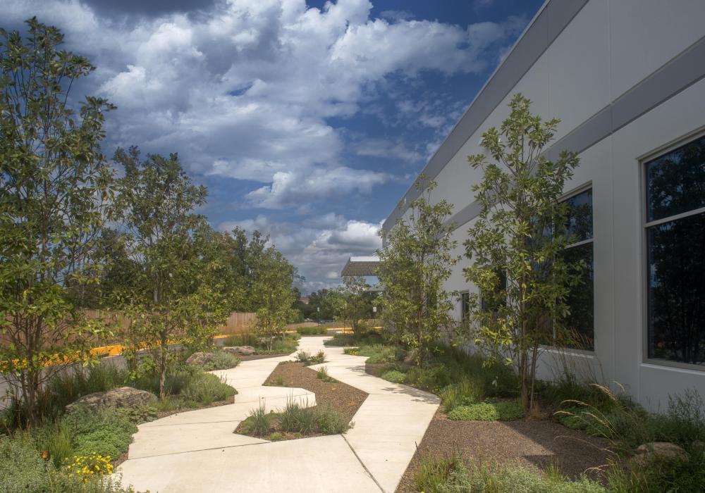 Ashbrook 10 garden