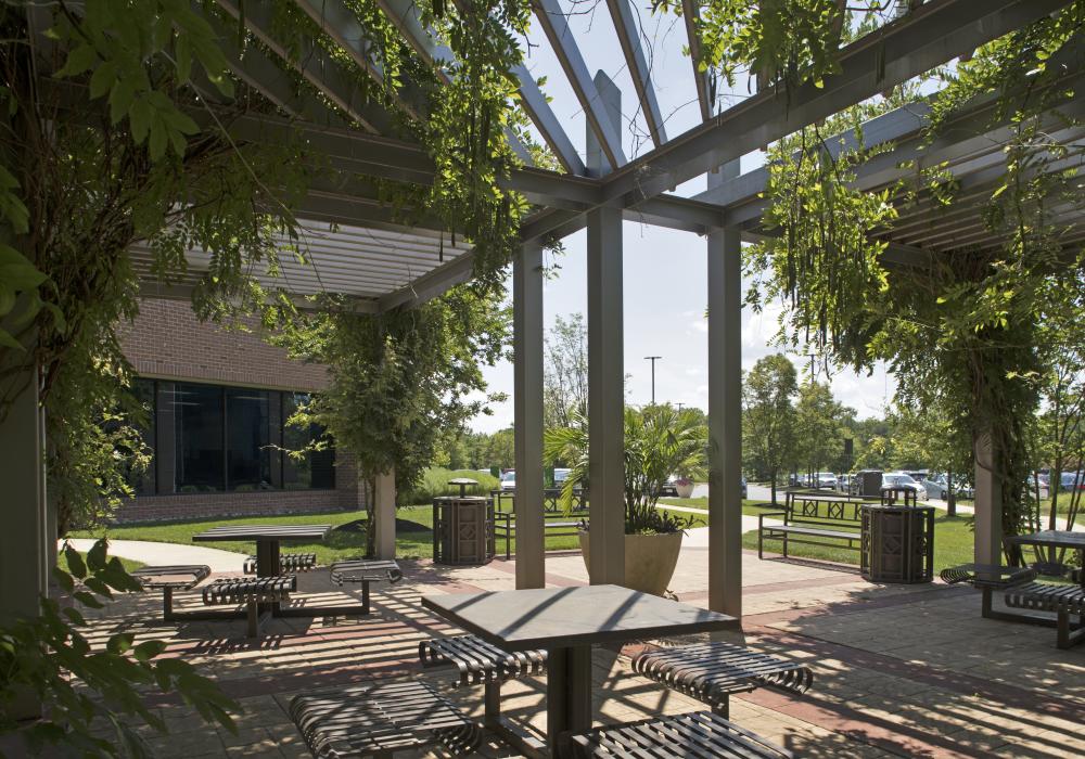 Meadowrige courtyard