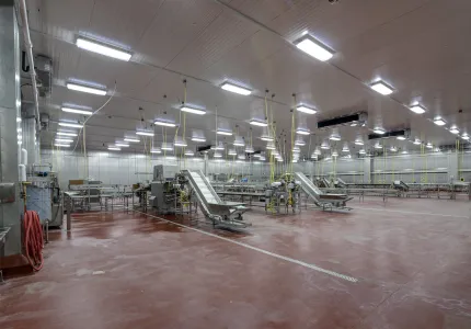 MCS Holly Poultry Interior (10)