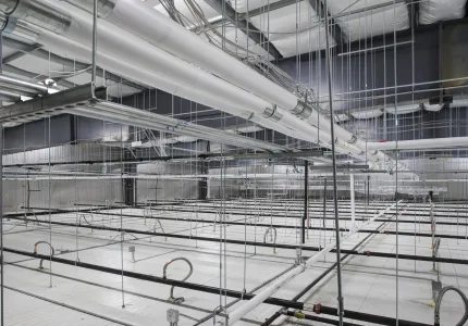 MCS Holly Poultry Interior (30)