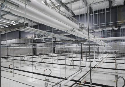 MCS Holly Poultry Interior (30)