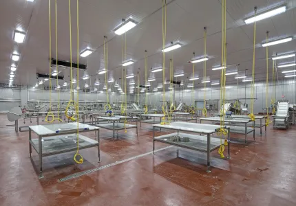 MCS Holly Poultry Interior (23)