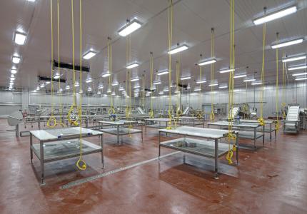 MCS Holly Poultry Interior (23)