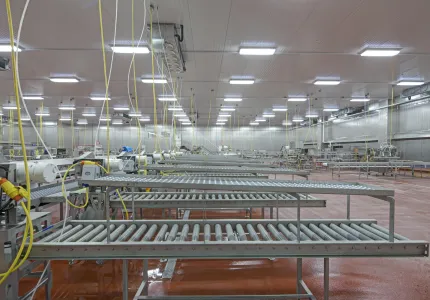 MCS Holly Poultry Interior (20)