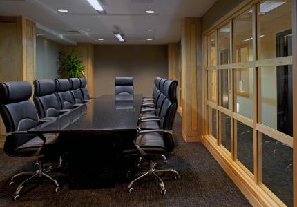 HA1 Oledix Conference Room (1)